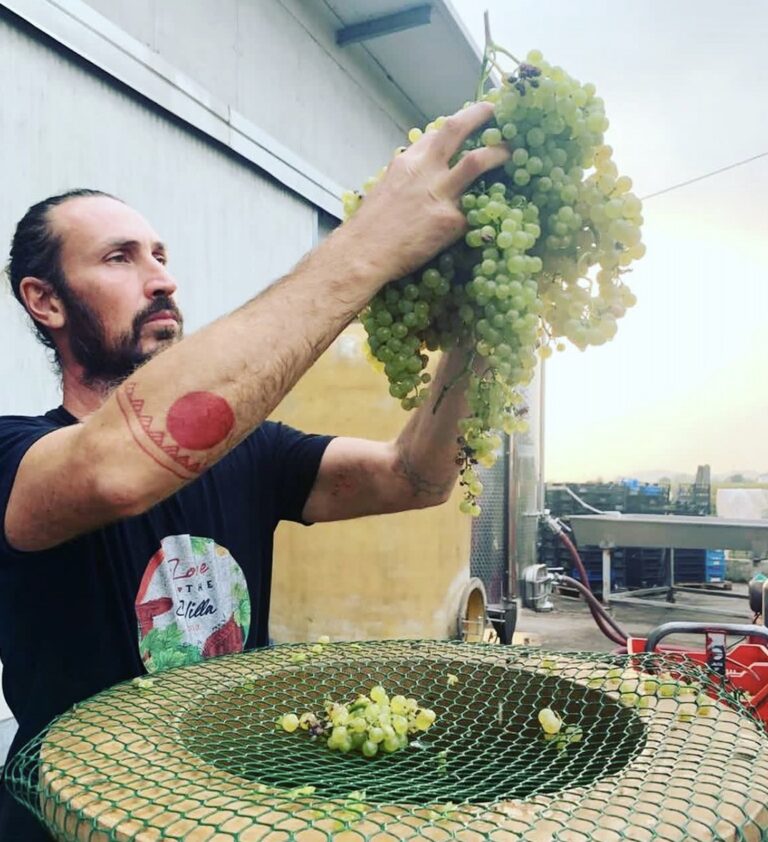 Cantina Martinelli