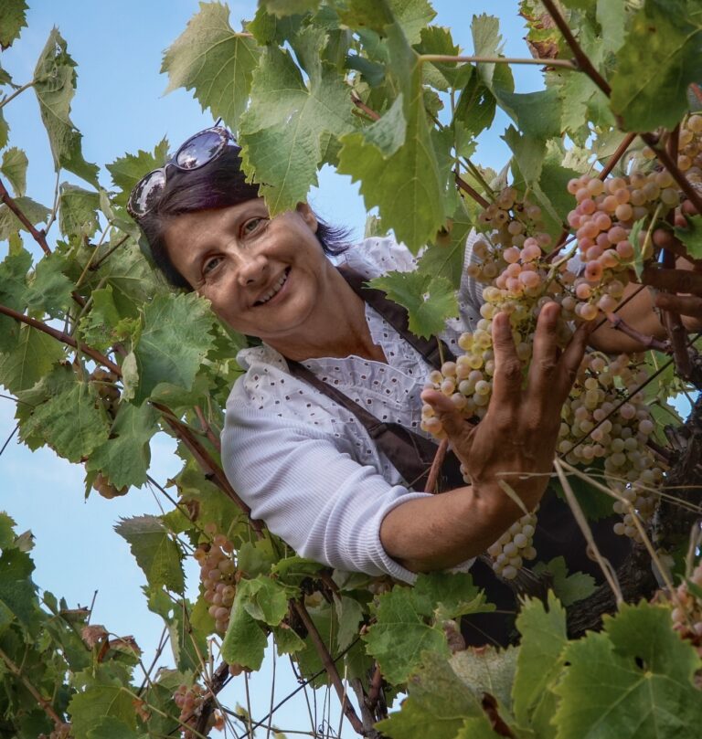 Fattoria La Maliosa