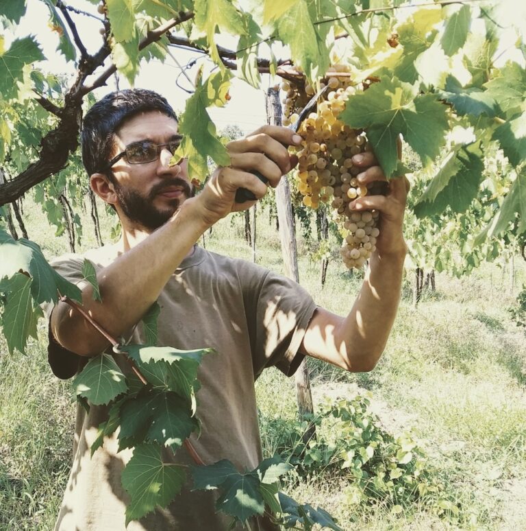 Giacomo Simone