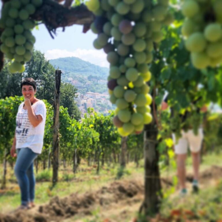 La Cantina di Enza