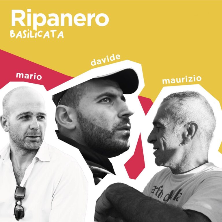 Ripanero