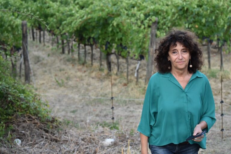 Terre a Mano - Fattoria di Bacchereto
