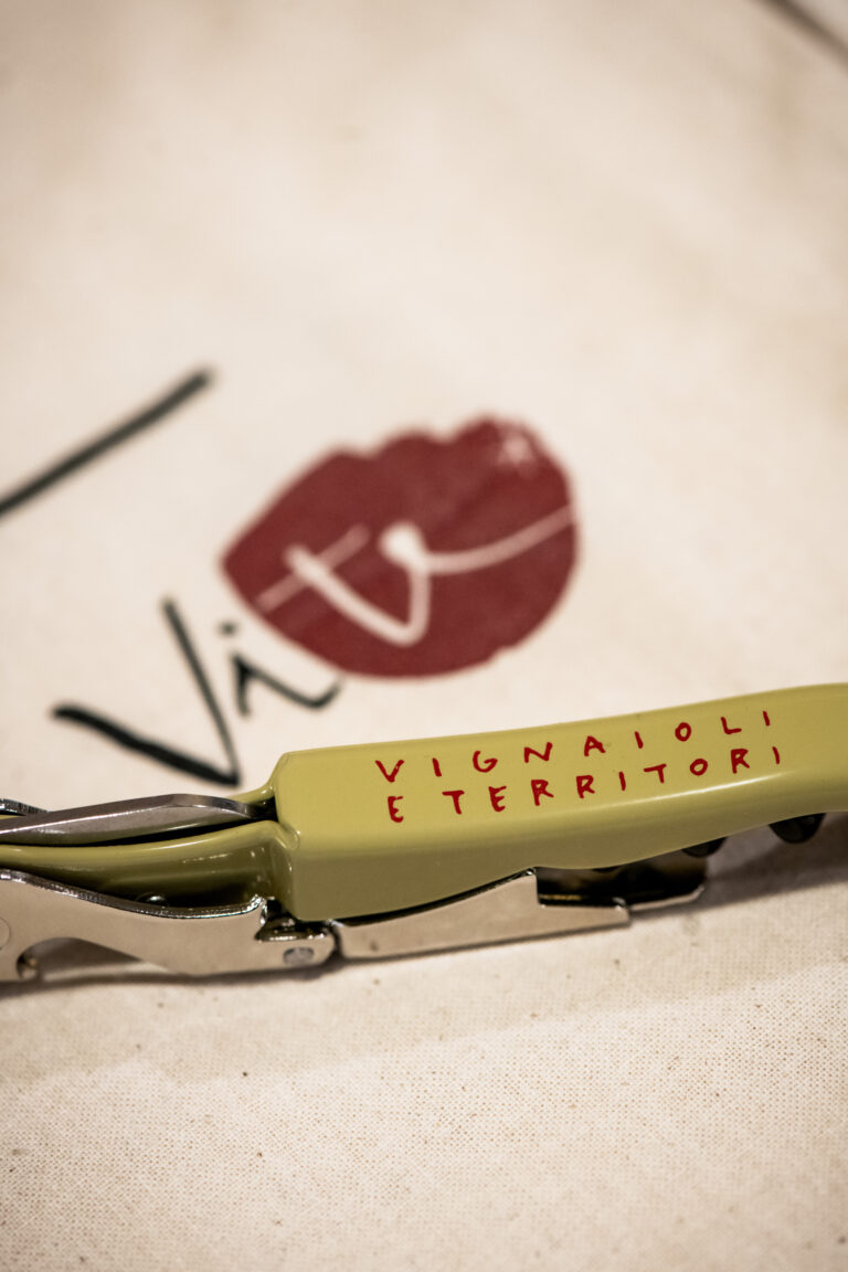 Vignaioli e Territori, degustazione con i vignaioli associati
